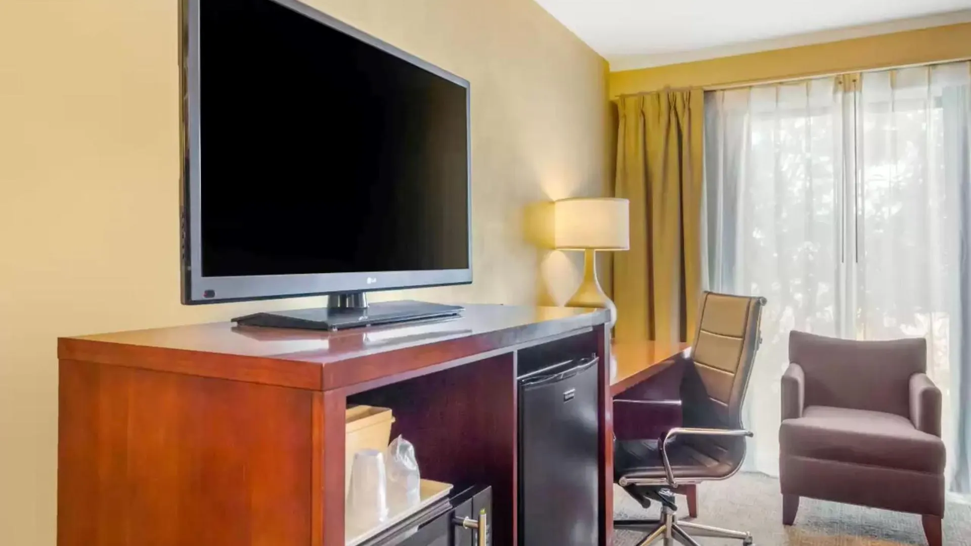 Hotel Holiday Inn Express Denver Central - North